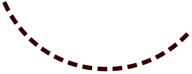 zwboog2